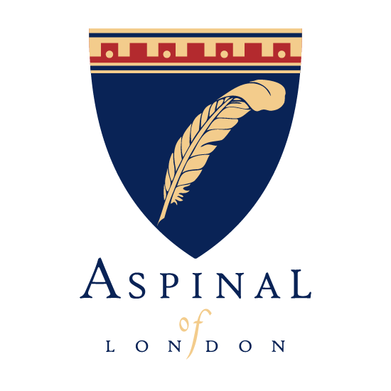 aspinal berkeley bag